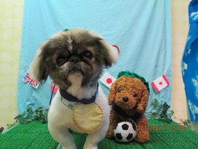 ファイル 4623-1.jpg