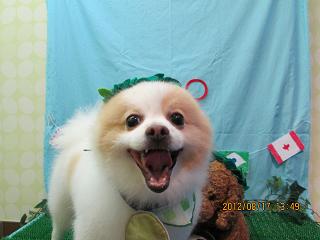 ファイル 4624-1.jpg