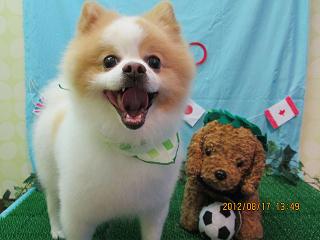 ファイル 4624-2.jpg