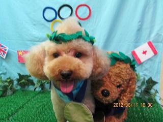 ファイル 4625-1.jpg