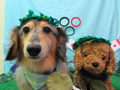 ファイル 4626-1.jpg