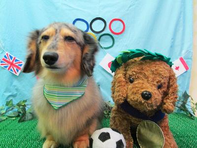 ファイル 4626-2.jpg