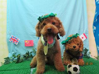 ファイル 4627-2.jpg