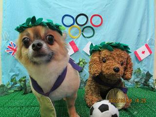 ファイル 4628-1.jpg