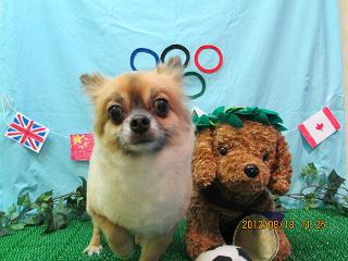 ファイル 4628-2.jpg