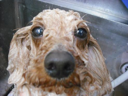 ファイル 463-2.jpg