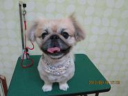 ファイル 4631-1.jpg