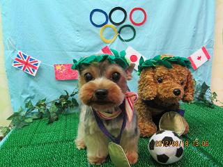 ファイル 4633-1.jpg