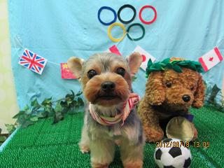 ファイル 4633-2.jpg