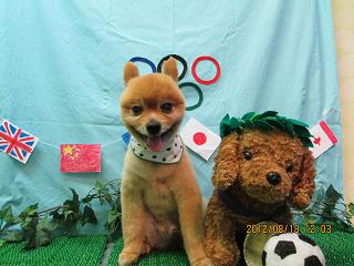 ファイル 4634-2.jpg