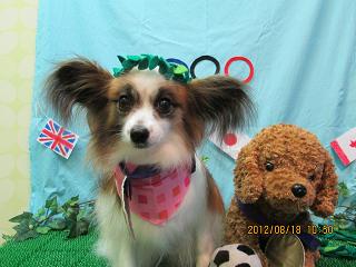 ファイル 4637-1.jpg