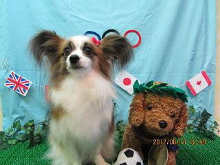 ファイル 4637-2.jpg