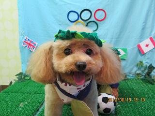 ファイル 4638-1.jpg