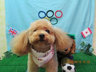 ファイル 4638-2.jpg