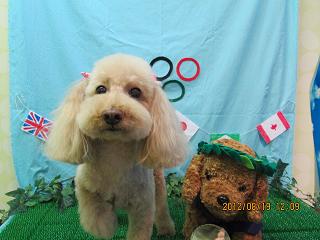 ファイル 4639-1.jpg