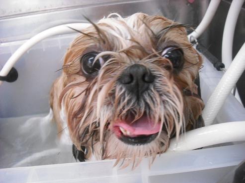 ファイル 464-2.jpg