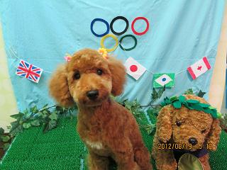 ファイル 4640-1.jpg