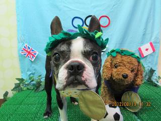 ファイル 4642-2.jpg