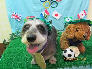 ファイル 4643-1.jpg