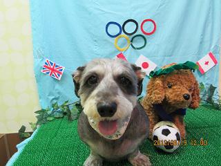 ファイル 4643-2.jpg