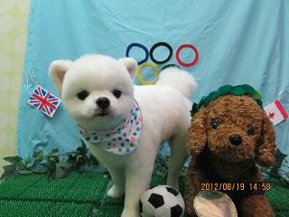 ファイル 4644-1.jpg