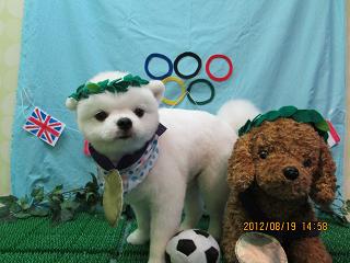 ファイル 4644-2.jpg