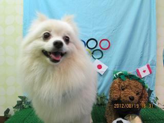 ファイル 4645-1.jpg