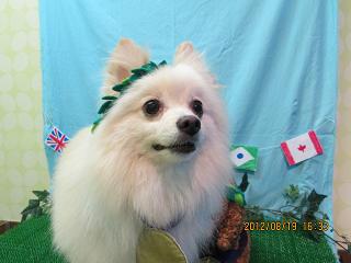 ファイル 4645-2.jpg