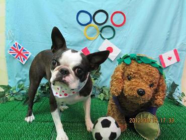 ファイル 4646-1.jpg