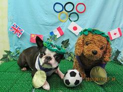 ファイル 4646-2.jpg