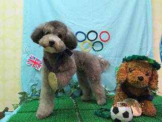 ファイル 4647-1.jpg