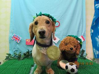 ファイル 4648-1.jpg