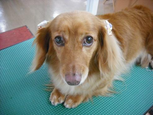 ファイル 465-1.jpg