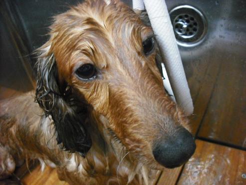 ファイル 465-2.jpg