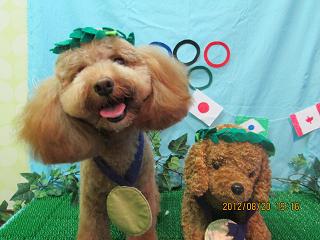 ファイル 4650-1.jpg