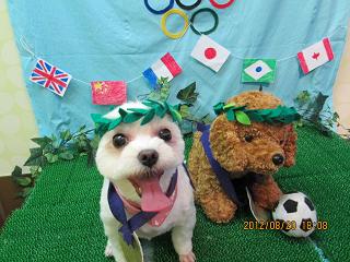 ファイル 4651-1.jpg