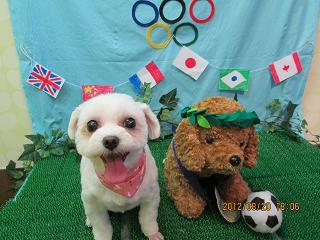 ファイル 4651-2.jpg