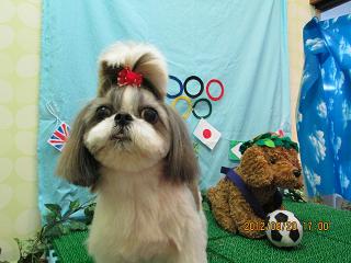 ファイル 4652-1.jpg