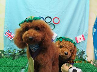 ファイル 4653-1.jpg