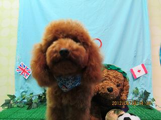 ファイル 4653-2.jpg