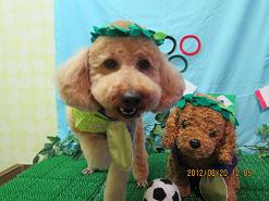 ファイル 4656-1.jpg