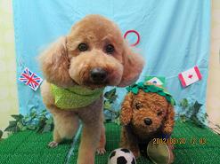 ファイル 4656-2.jpg