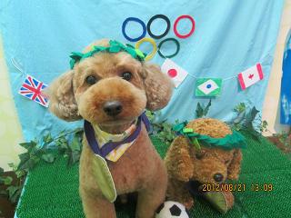 ファイル 4657-1.jpg