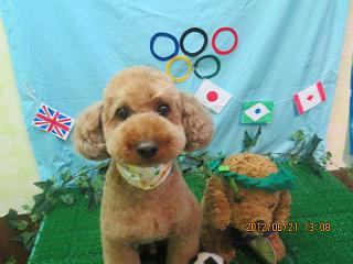 ファイル 4657-2.jpg