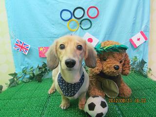 ファイル 4660-2.jpg