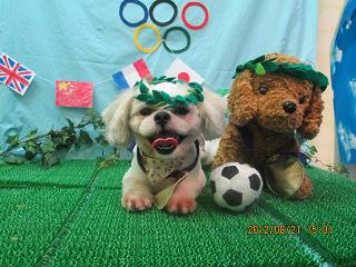 ファイル 4661-1.jpg