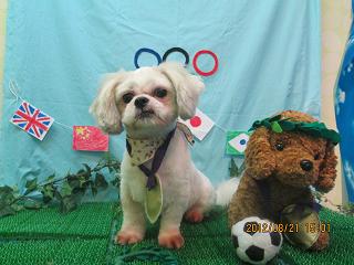 ファイル 4661-2.jpg