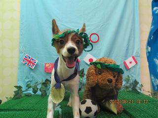 ファイル 4662-1.jpg