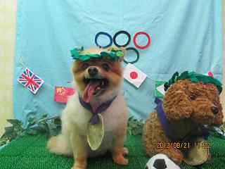 ファイル 4663-1.jpg