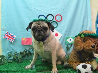 ファイル 4664-1.jpg